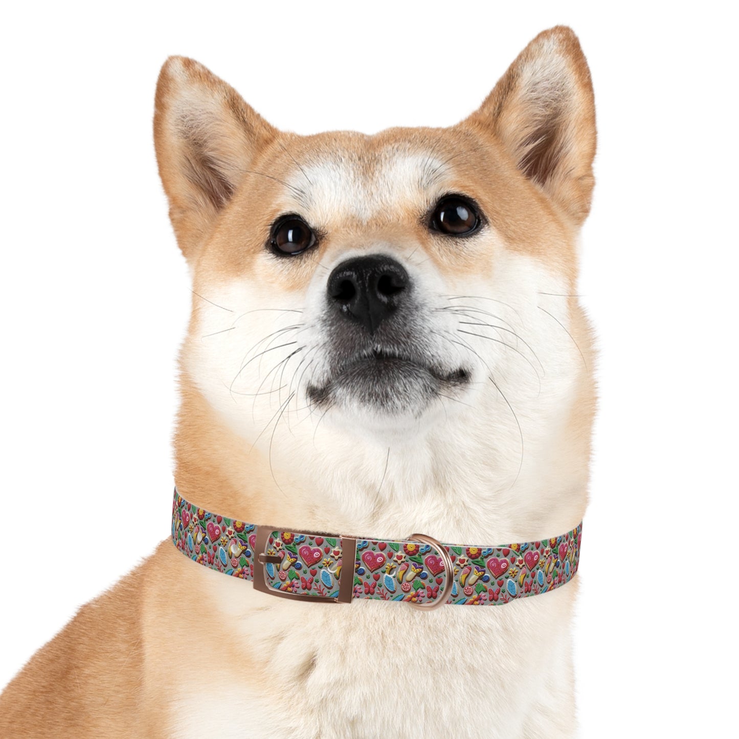 Pets-4 Dog/Cat Collar