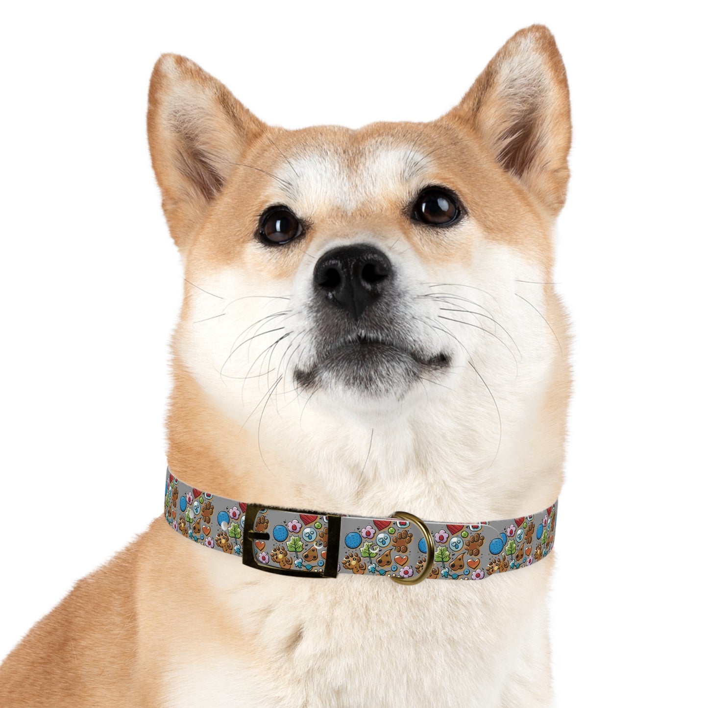 Pets-19.1 Dog/Cat Collar