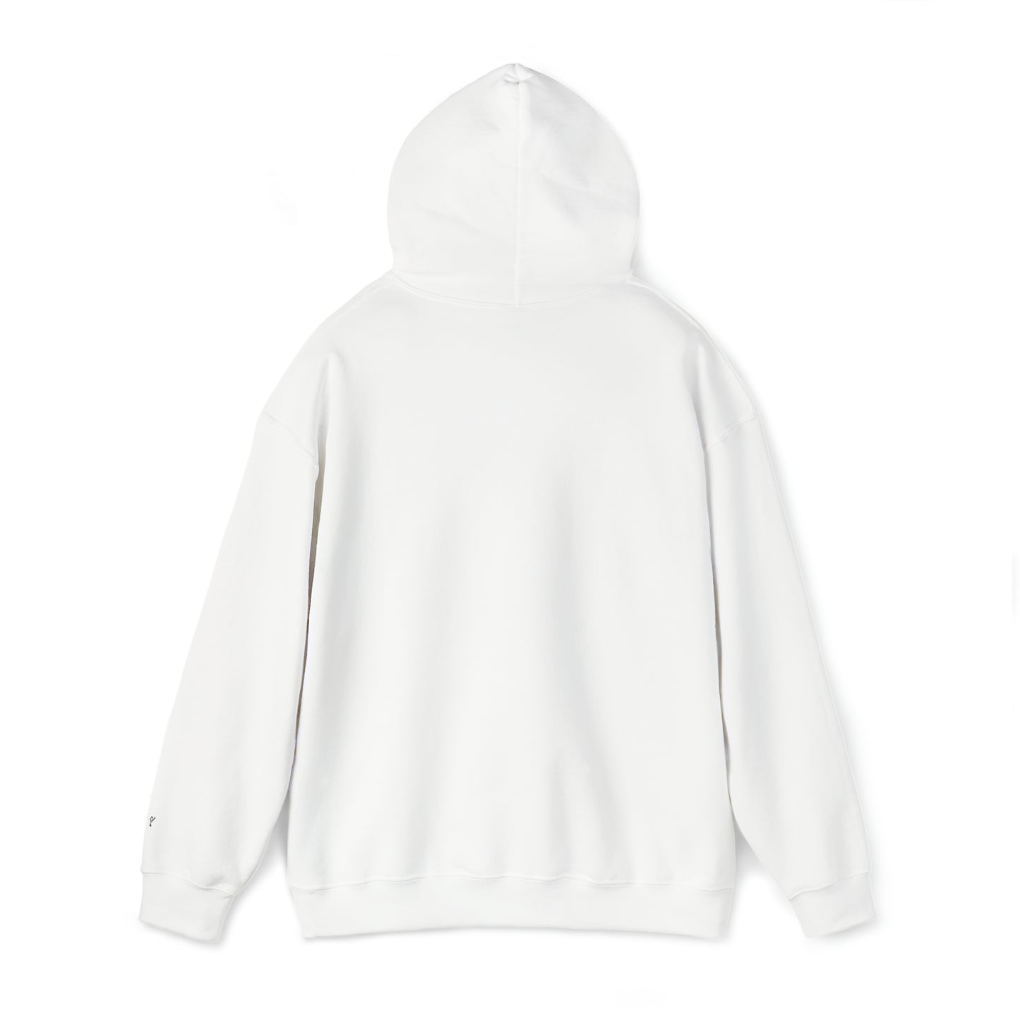 SIXp1 Unisex Heavy Blend™ Hooded Sweatshirt