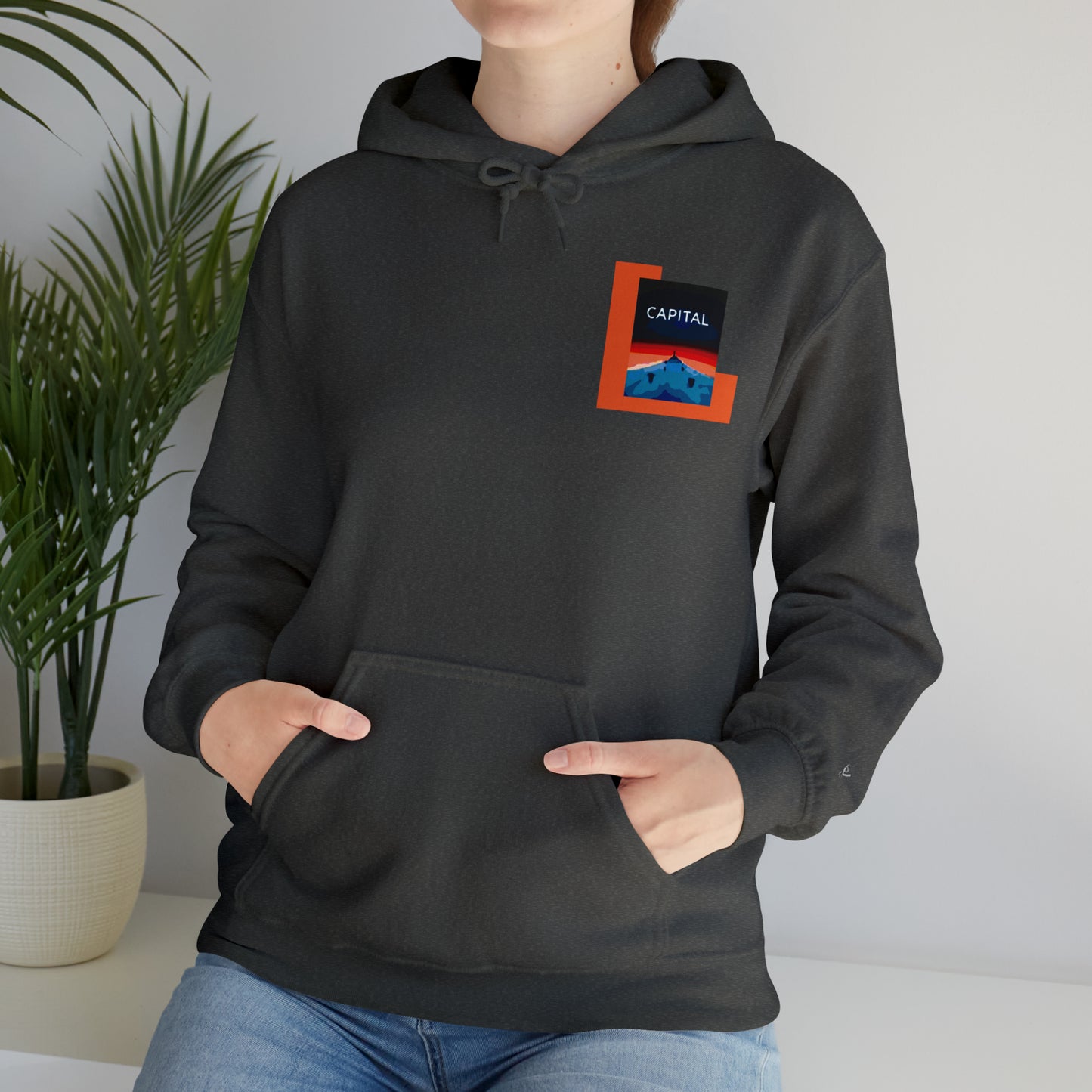 FORTY6p2 Unisex Heavy Blend™ Hooded Sweatshirt