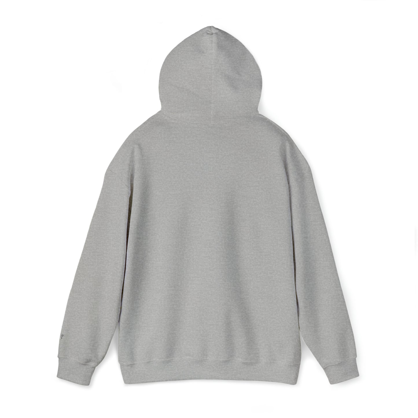 TEN Unisex Heavy Blend™ Hooded Sweatshirt