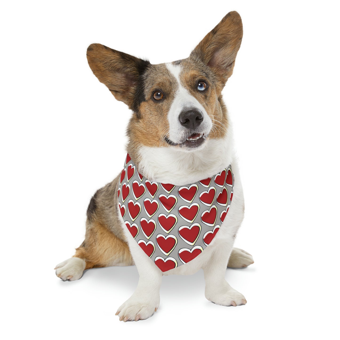 Pets-X Dog/Cat Pet Bandana Collar