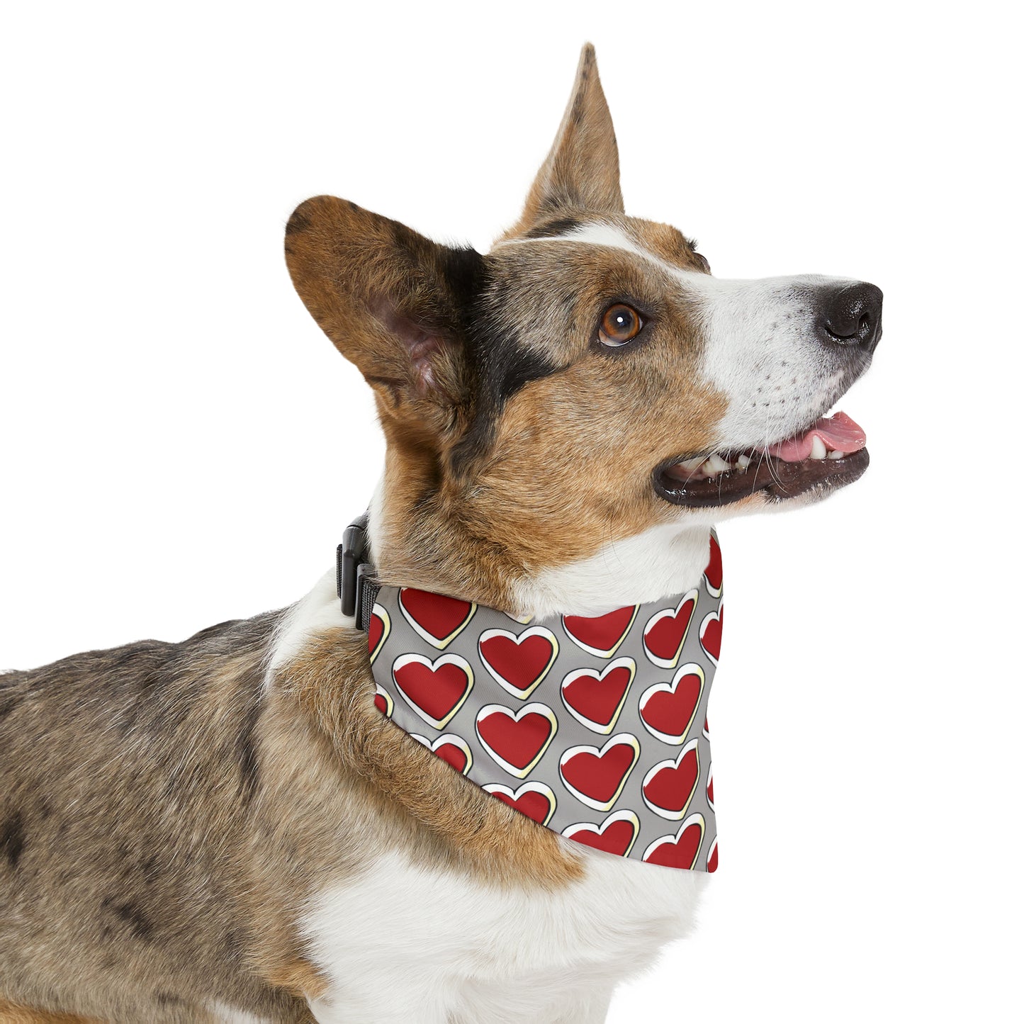 Pets-X Dog/Cat Pet Bandana Collar