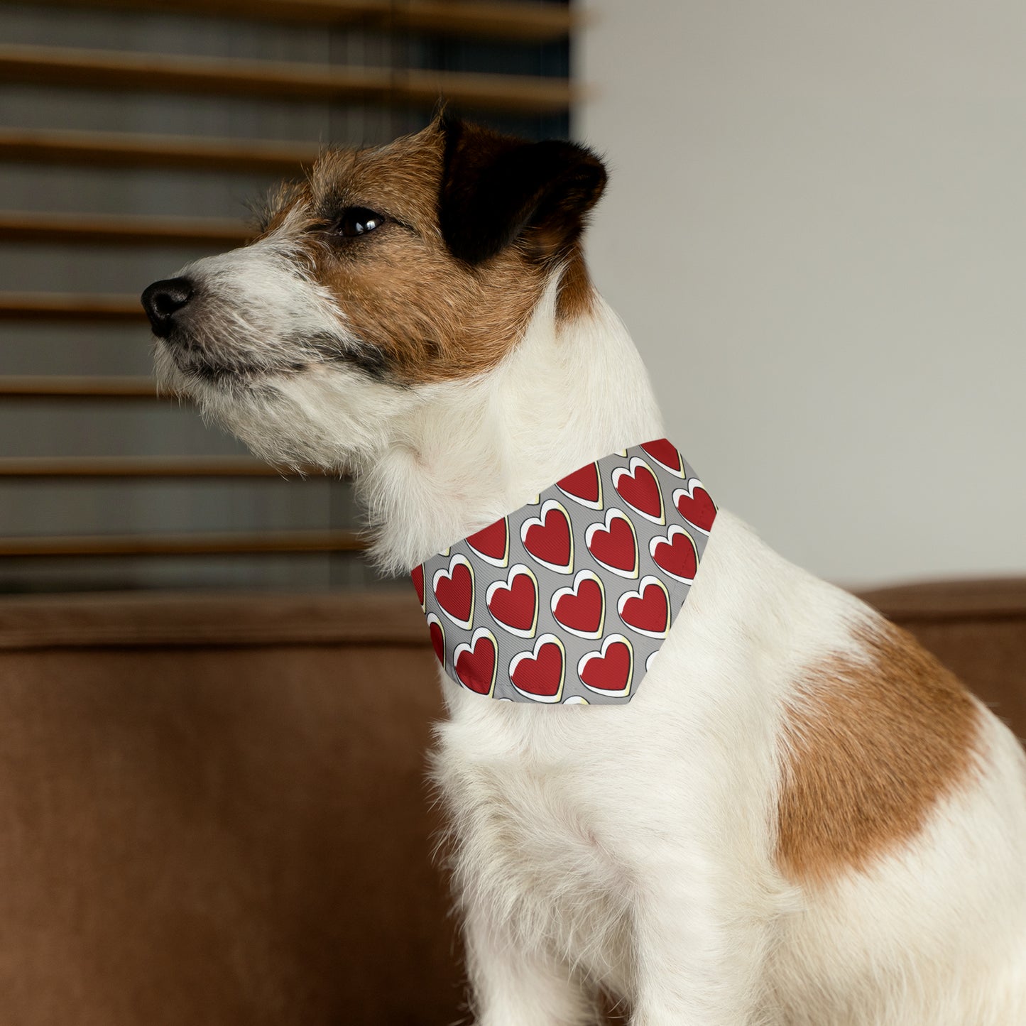 Pets-X Dog/Cat Pet Bandana Collar