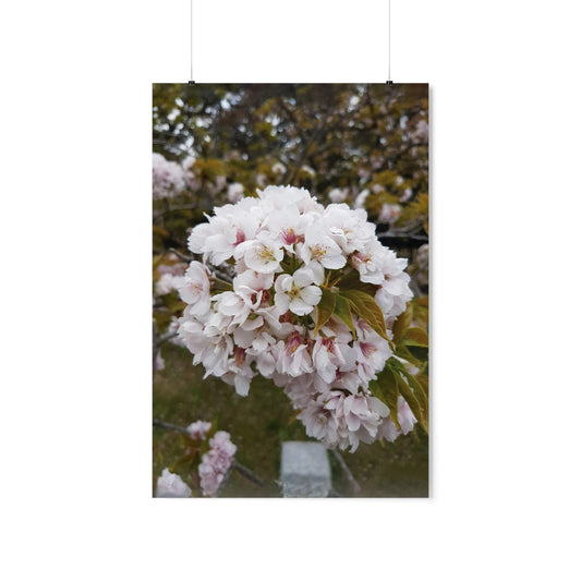 Japan-10 Premium Matte Vertical Posters