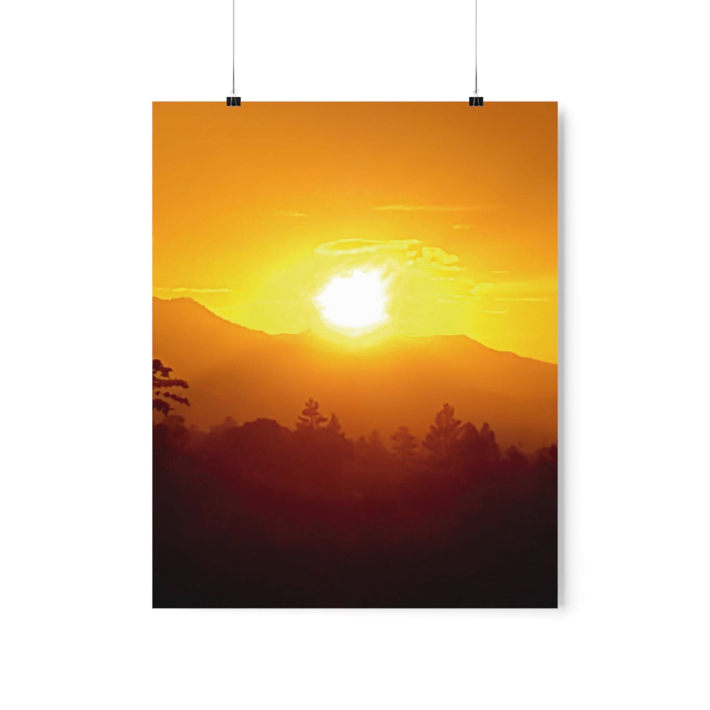 RD-6 Premium Matte Vertical Posters