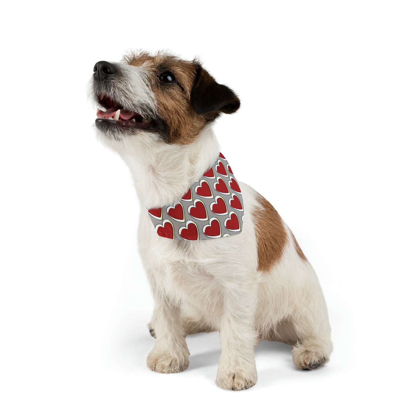 Pets-X Dog/Cat Pet Bandana Collar