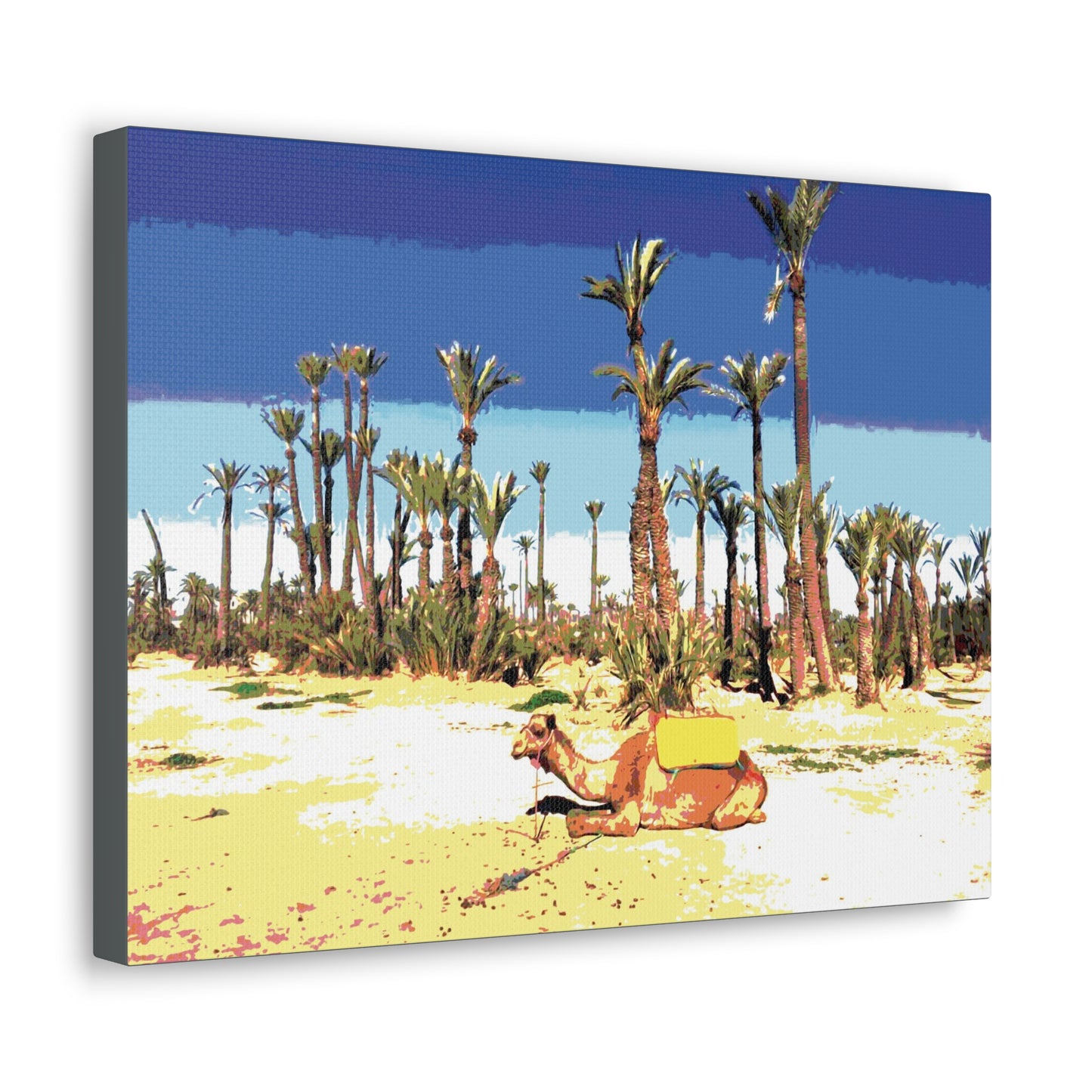 Desert Canvas Gallery Wraps