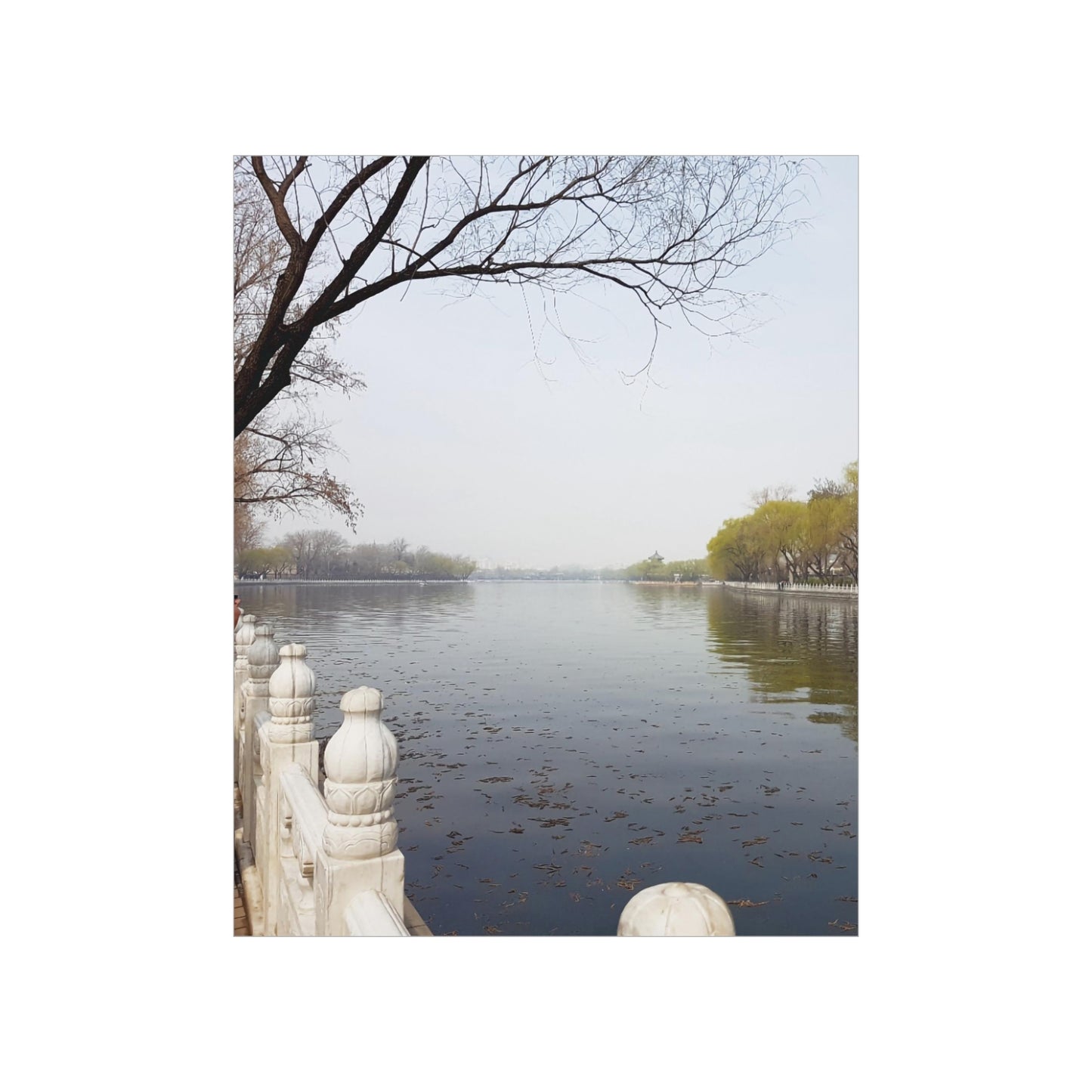 China-11 Premium Matte Vertical Posters