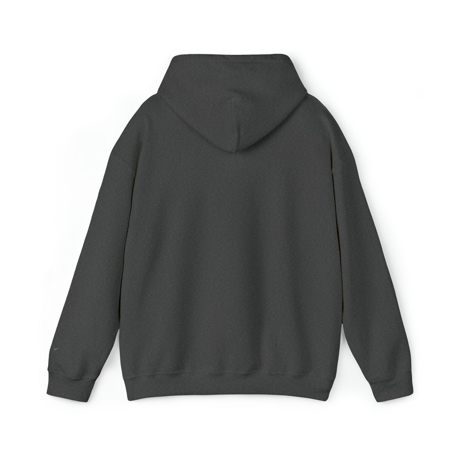 TEN Unisex Heavy Blend™ Hooded Sweatshirt