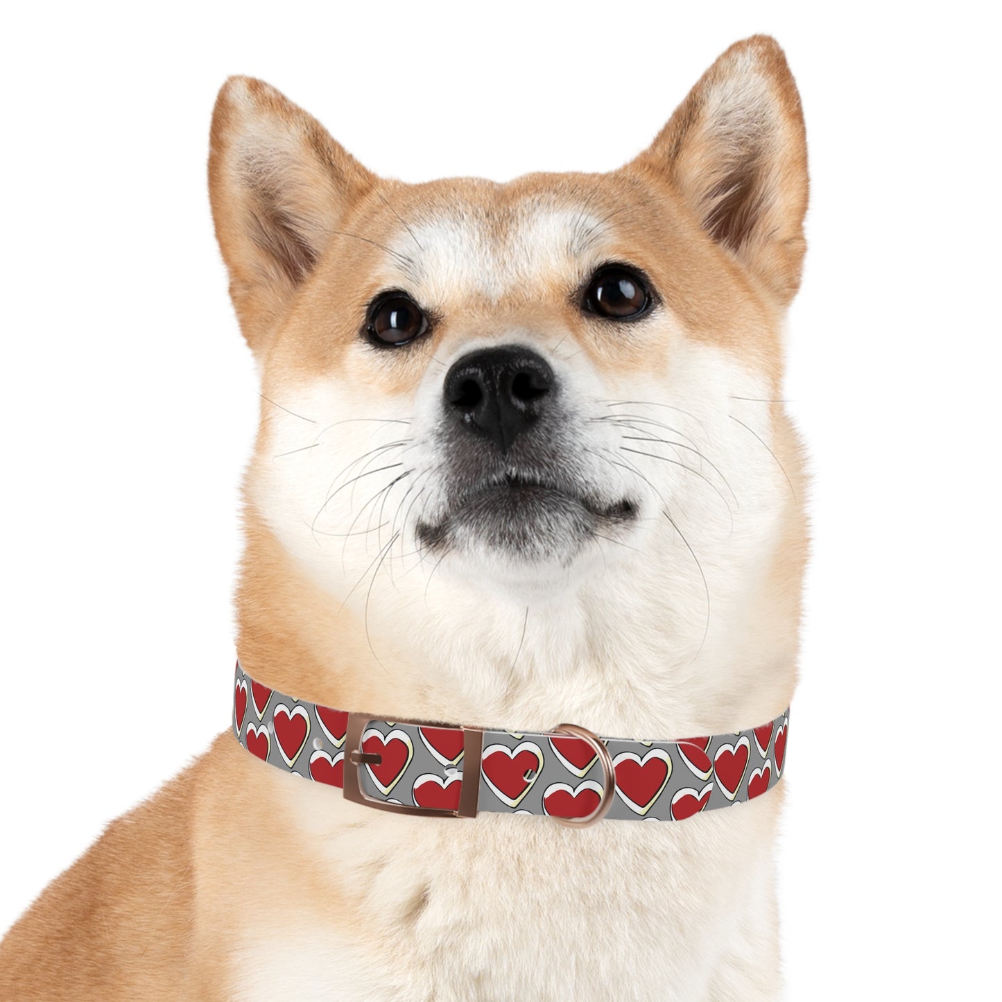 Pets-X Dog/Cat Collar