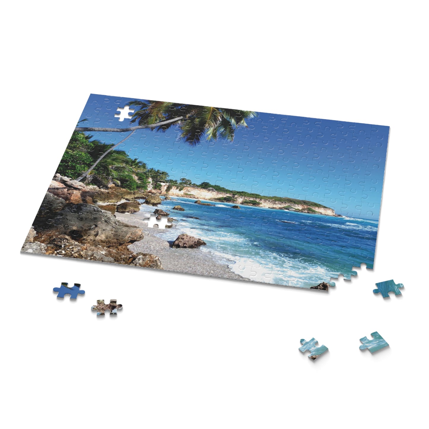 RD Puzzle (120, 252, 500-Piece)