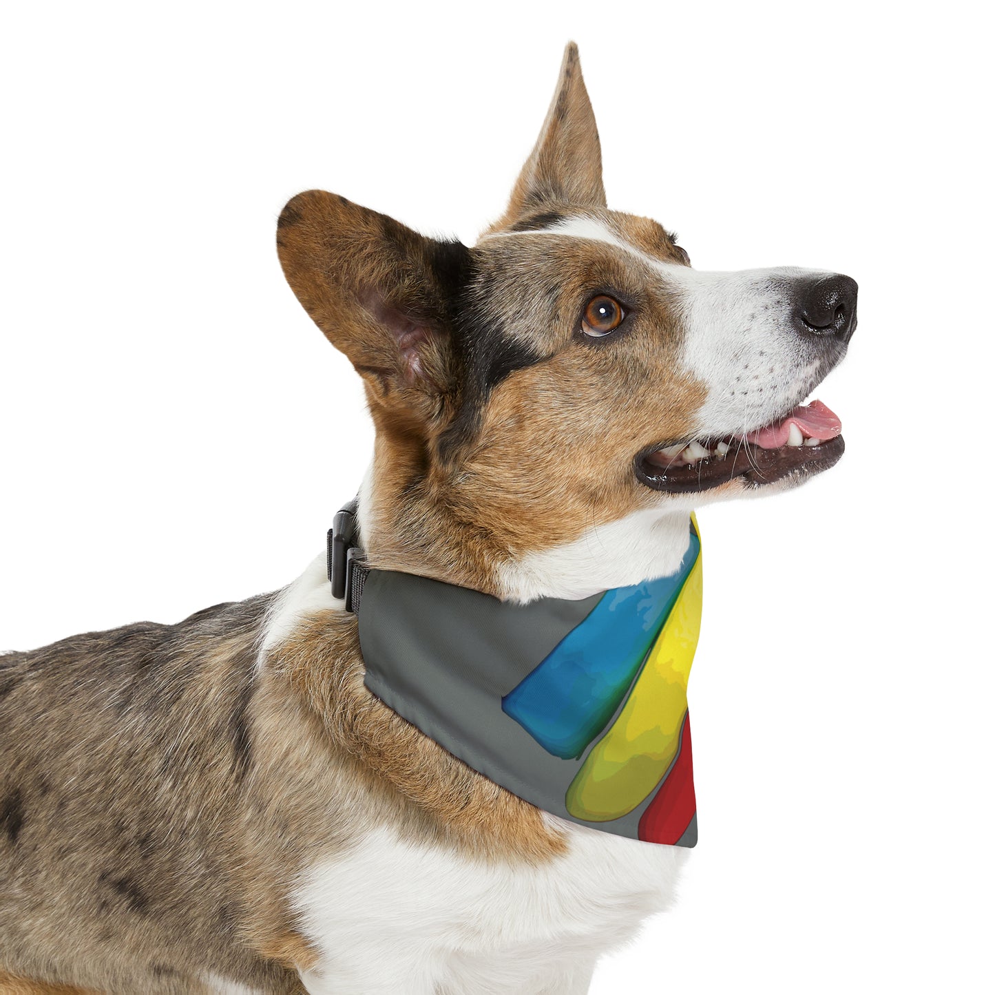 Pets-77 Dog/Cat Pet Bandana Collar