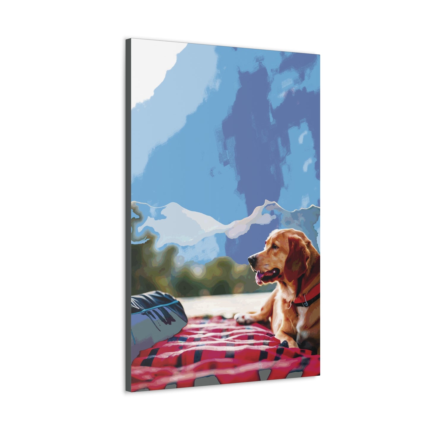 Pets-63.1.2 Canvas Gallery Wraps