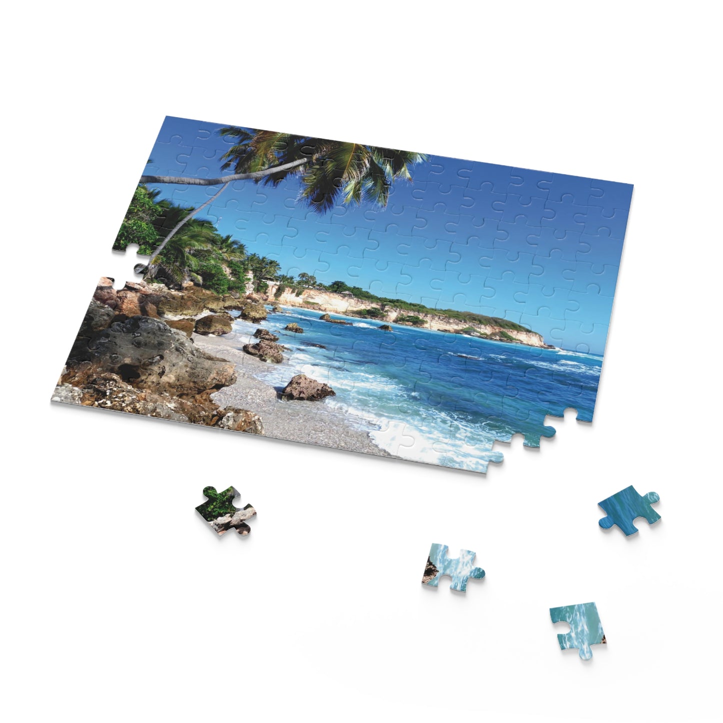 RD Puzzle (120, 252, 500-Piece)