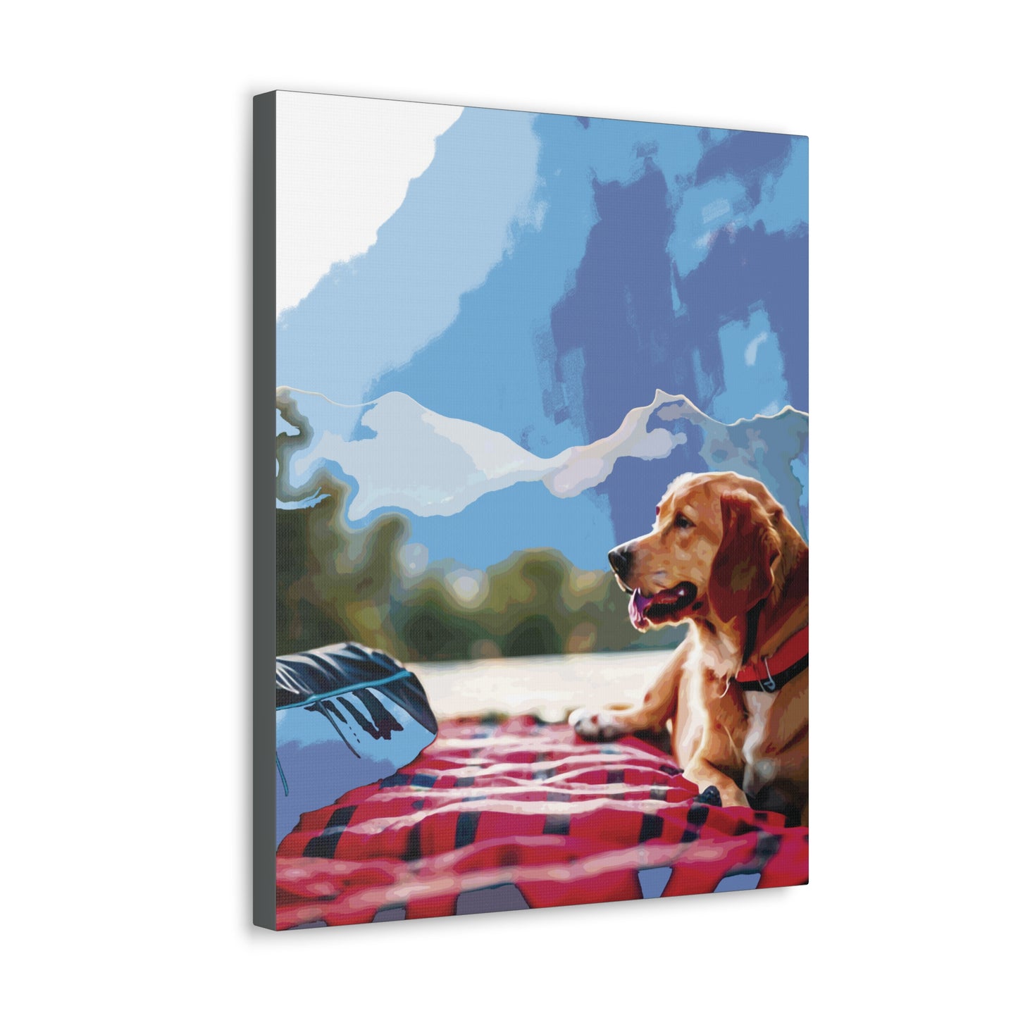 Pets-63.1.2 Canvas Gallery Wraps