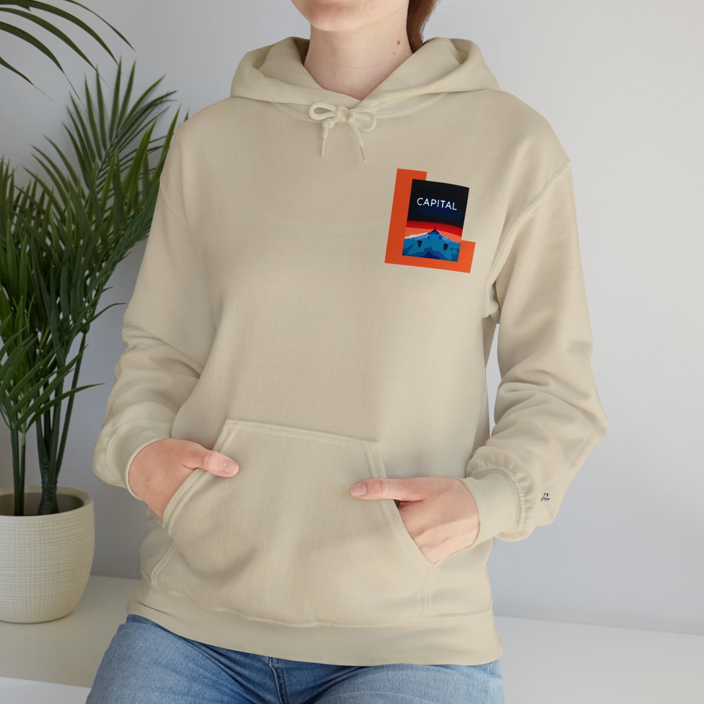 FORTY6p2 Unisex Heavy Blend™ Hooded Sweatshirt