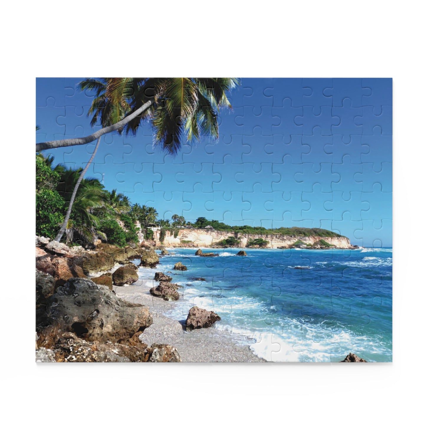 RD Puzzle (120, 252, 500-Piece)