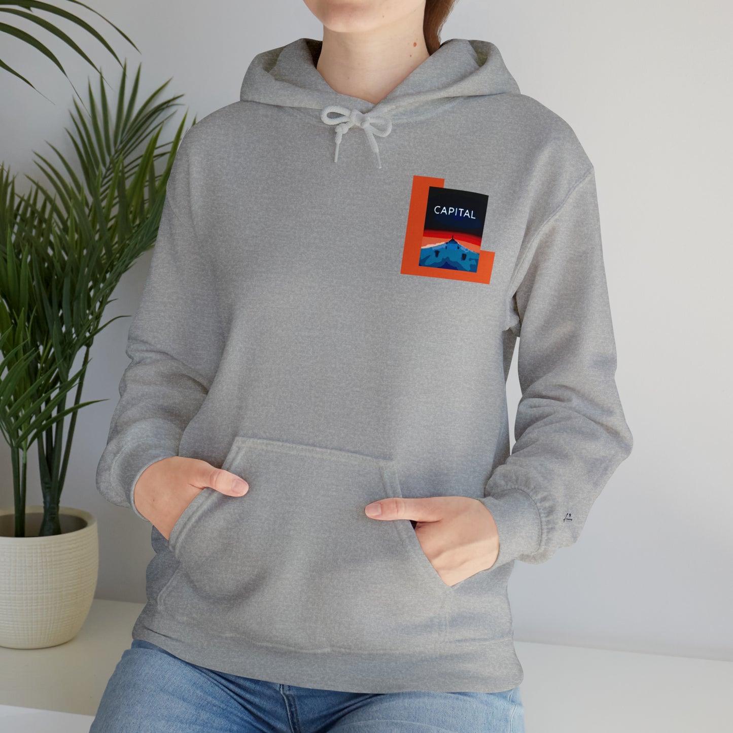 FORTY6p2 Unisex Heavy Blend™ Hooded Sweatshirt