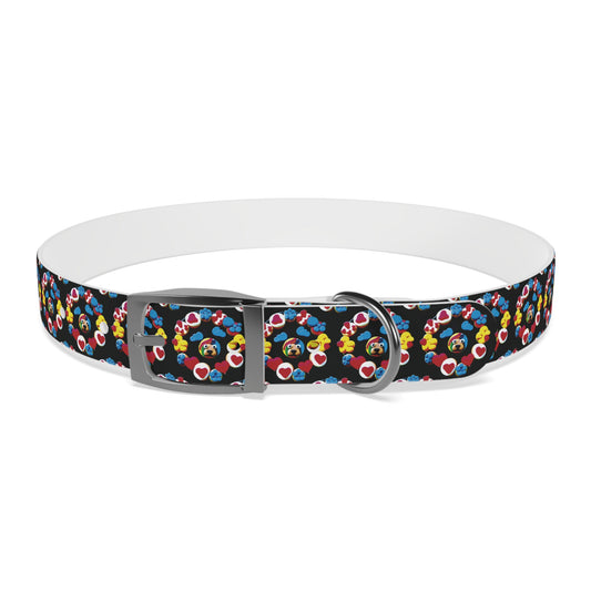 Pets-12.1 Dog/Cat Collar