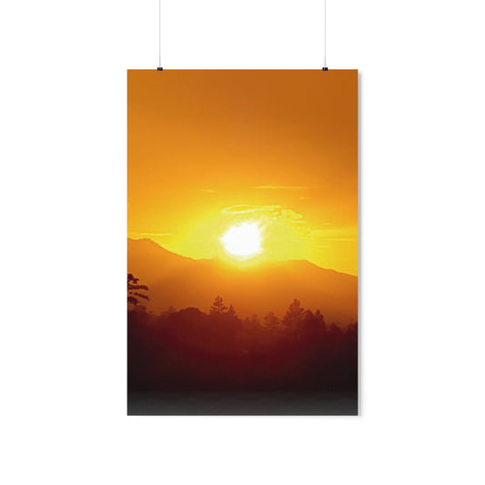 RD-6 Premium Matte Vertical Posters